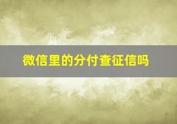 微信里的分付查征信吗