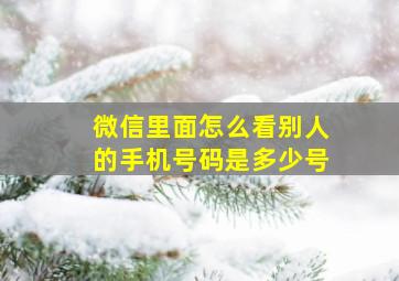 微信里面怎么看别人的手机号码是多少号