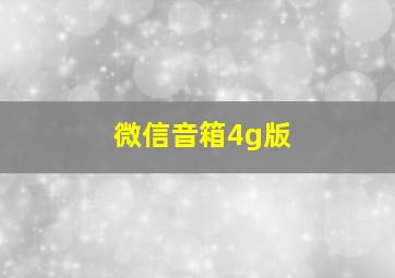 微信音箱4g版