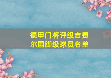 德甲门将评级吉费尔国脚级球员名单