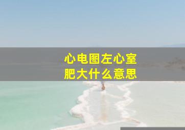 心电图左心室肥大什么意思