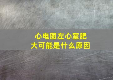 心电图左心室肥大可能是什么原因