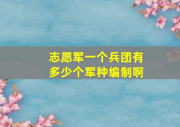 志愿军一个兵团有多少个军种编制啊