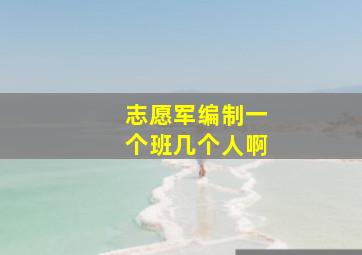 志愿军编制一个班几个人啊