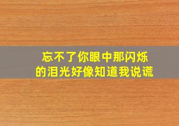 忘不了你眼中那闪烁的泪光好像知道我说谎