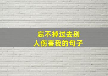 忘不掉过去别人伤害我的句子