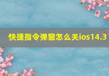 快捷指令弹窗怎么关ios14.3