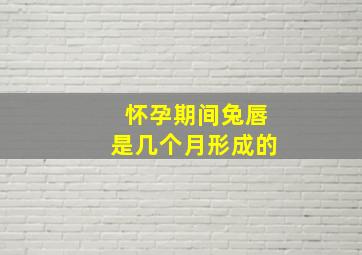 怀孕期间兔唇是几个月形成的