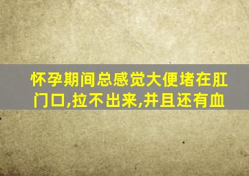 怀孕期间总感觉大便堵在肛门口,拉不出来,并且还有血