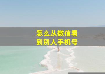 怎么从微信看到别人手机号