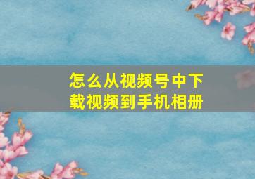 怎么从视频号中下载视频到手机相册