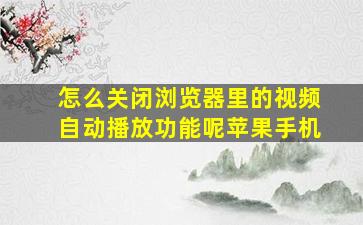 怎么关闭浏览器里的视频自动播放功能呢苹果手机