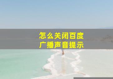 怎么关闭百度广播声音提示