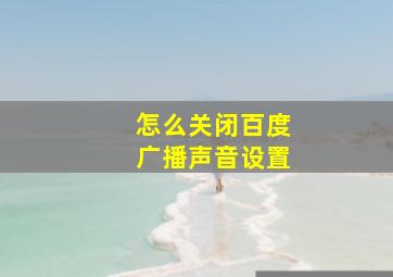 怎么关闭百度广播声音设置