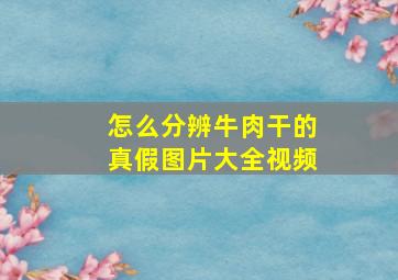 怎么分辨牛肉干的真假图片大全视频