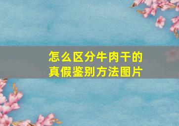 怎么区分牛肉干的真假鉴别方法图片