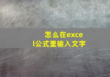 怎么在excel公式里输入文字