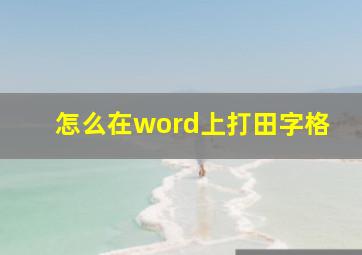 怎么在word上打田字格