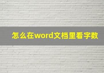 怎么在word文档里看字数