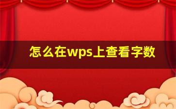 怎么在wps上查看字数