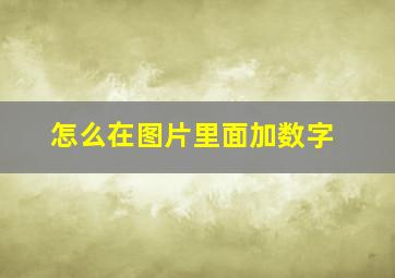 怎么在图片里面加数字