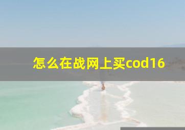 怎么在战网上买cod16