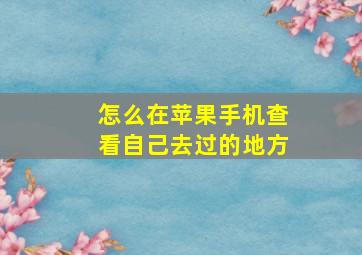 怎么在苹果手机查看自己去过的地方