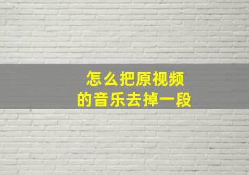 怎么把原视频的音乐去掉一段