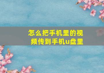 怎么把手机里的视频传到手机u盘里