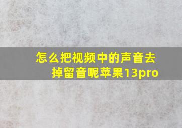 怎么把视频中的声音去掉留音呢苹果13pro