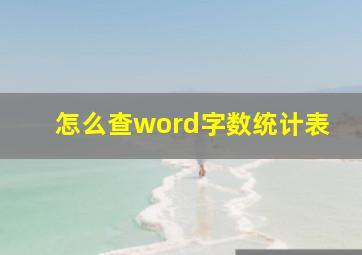 怎么查word字数统计表