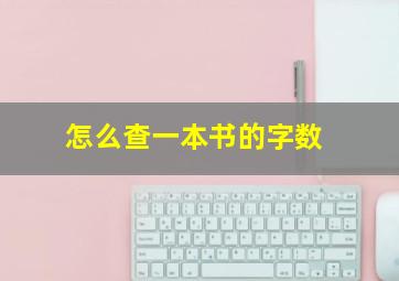 怎么查一本书的字数