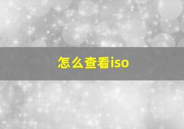 怎么查看iso