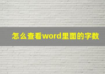 怎么查看word里面的字数