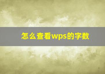 怎么查看wps的字数