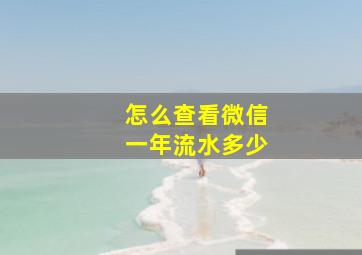 怎么查看微信一年流水多少