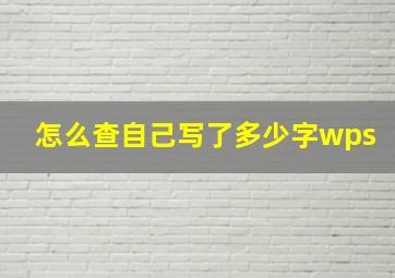 怎么查自己写了多少字wps