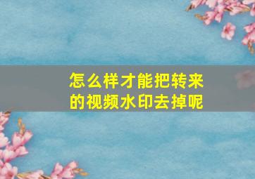 怎么样才能把转来的视频水印去掉呢