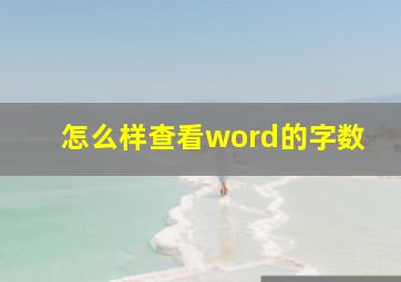 怎么样查看word的字数