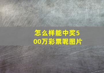 怎么样能中奖500万彩票呢图片