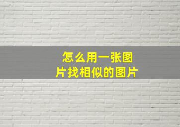 怎么用一张图片找相似的图片