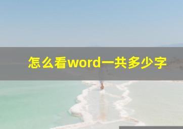 怎么看word一共多少字