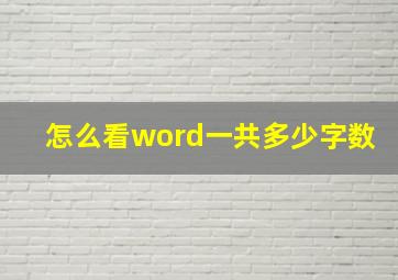 怎么看word一共多少字数