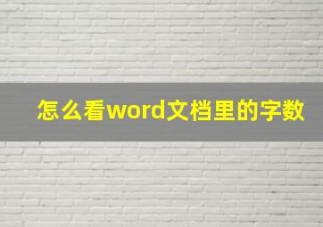 怎么看word文档里的字数