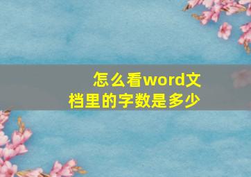 怎么看word文档里的字数是多少