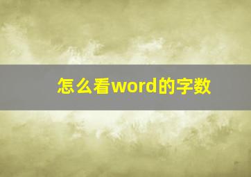 怎么看word的字数