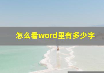 怎么看word里有多少字