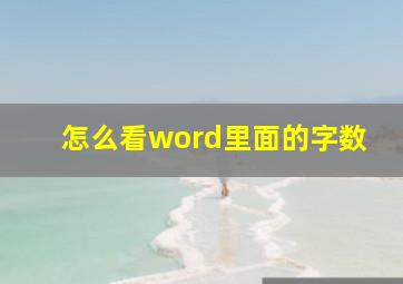 怎么看word里面的字数