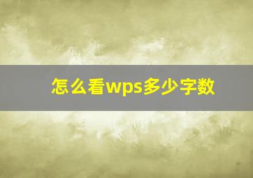 怎么看wps多少字数