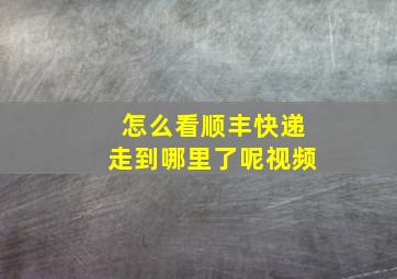 怎么看顺丰快递走到哪里了呢视频